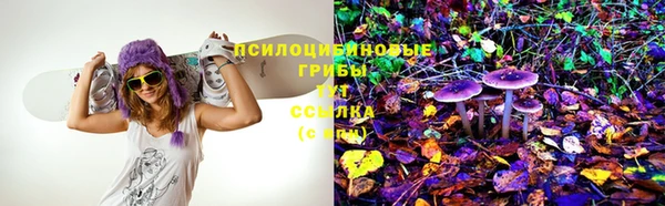 герыч Алзамай