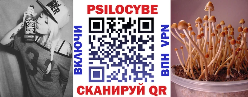 мориарти какой сайт  Суровикино  Галлюциногенные грибы GOLDEN TEACHER  купить закладку  ссылка на мегу онион 